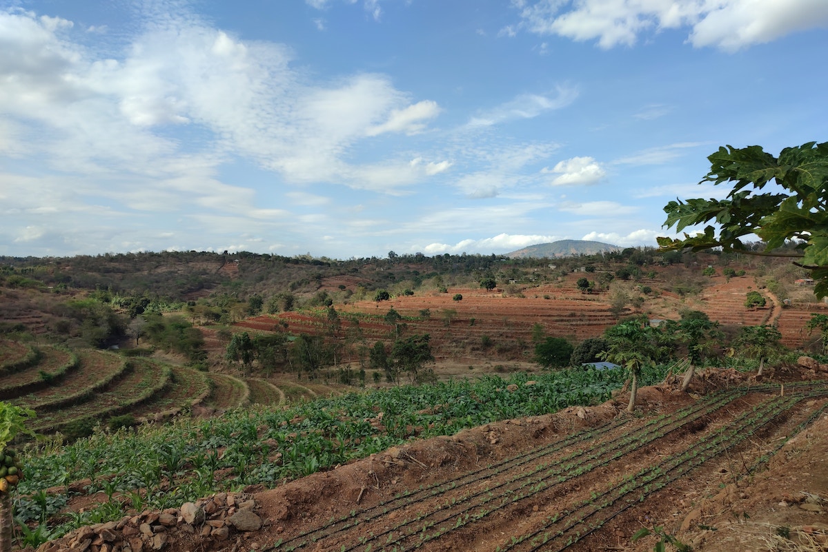 the-key-to-sustainable-food-systems