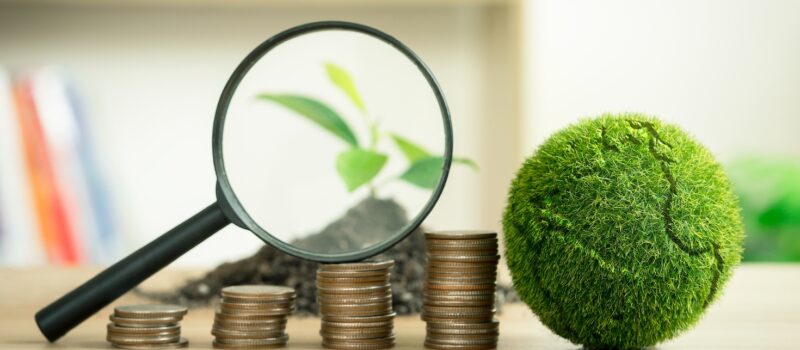 beginner-or-embedder?-assess-your-company’s-sustainability-maturity