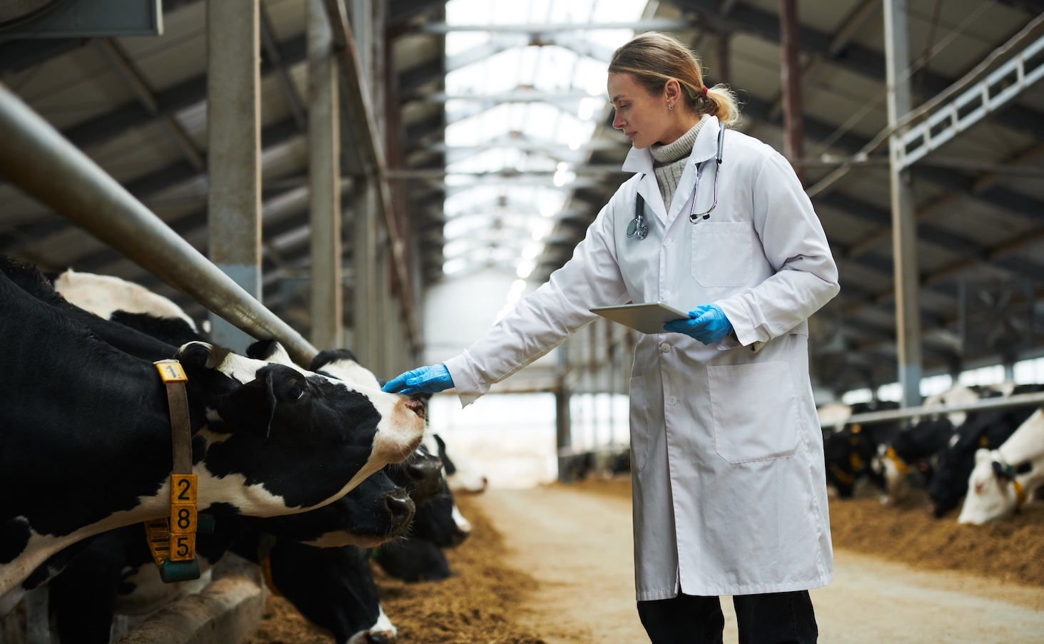 combining-the-best-of-regenerative-and-cellular-agriculture