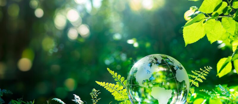 ‘milestone’:-taskforce-for-nature-related-financial-disclosures-publishes-final-recommendations