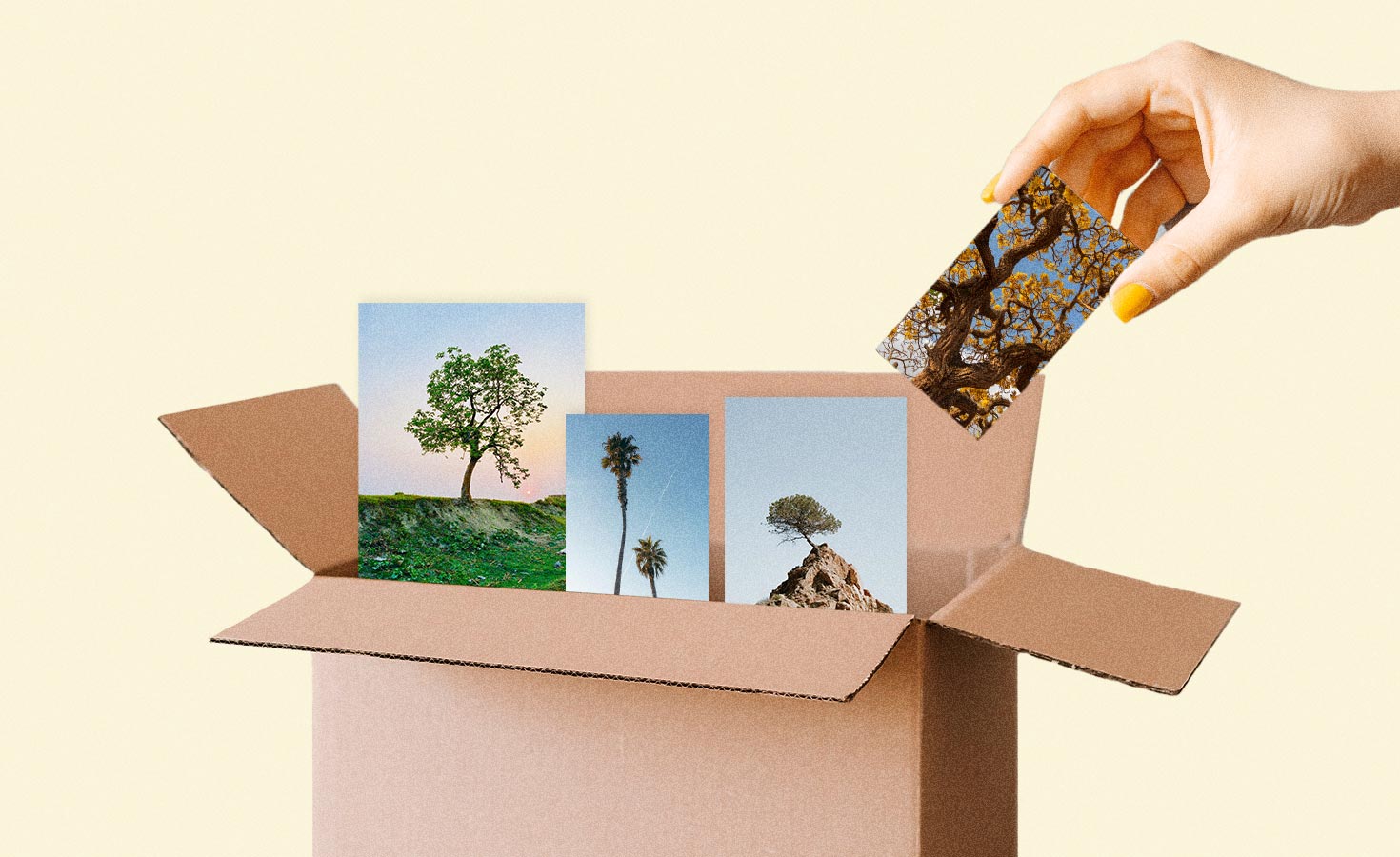 carbon-credits-for-forest-preservation-projects-are-mostly-‘illusory’,-uc-berkeley-study-says