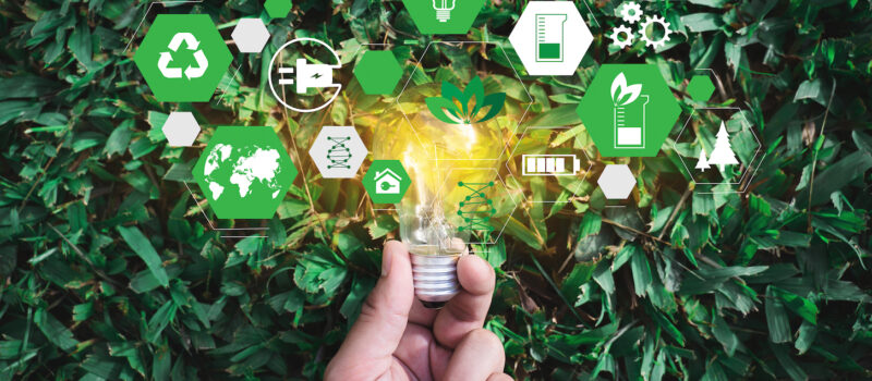 how-cfos-can-position-companies-to-be-sustainability-leaders