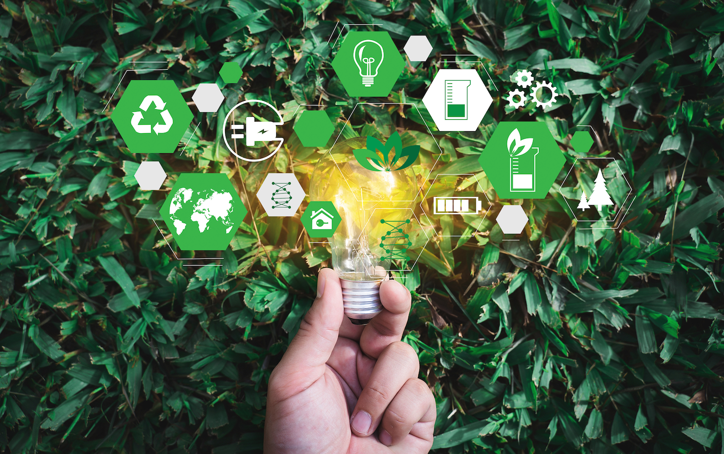 how-cfos-can-position-companies-to-be-sustainability-leaders