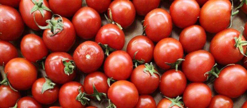 new-global-framework-seeks-to-streamline-regenerative-agriculture-practices