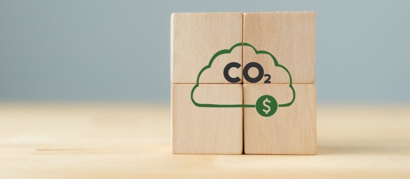 study-reveals-how-firms-buying-carbon-credits-are-‘outperforming’-peers-on-climate