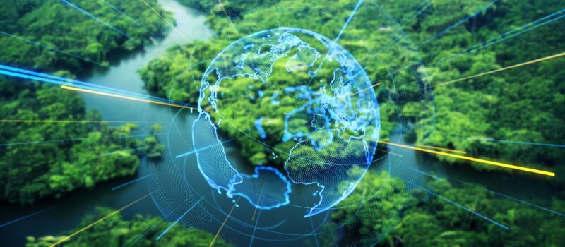 how-the-financial-sector-can-make-‘nature-markets’-work