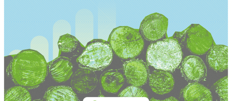 the-world-is-mobilizing-against-big-biomass-this-week