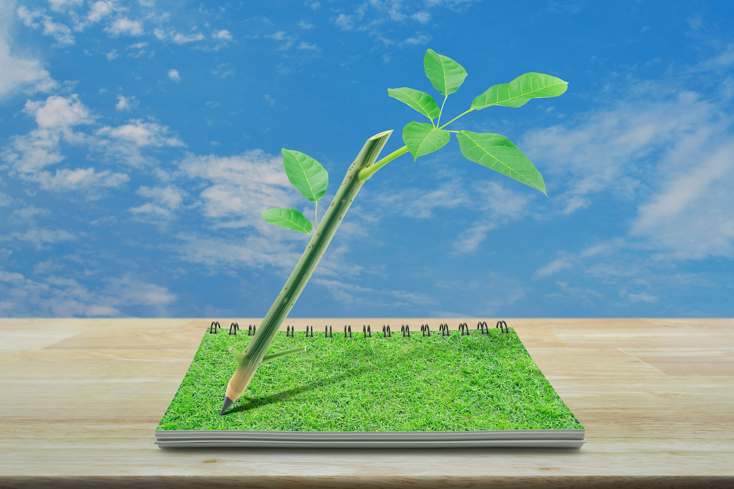 14-training-resources-for-regenerating-the-land-through-agriculture