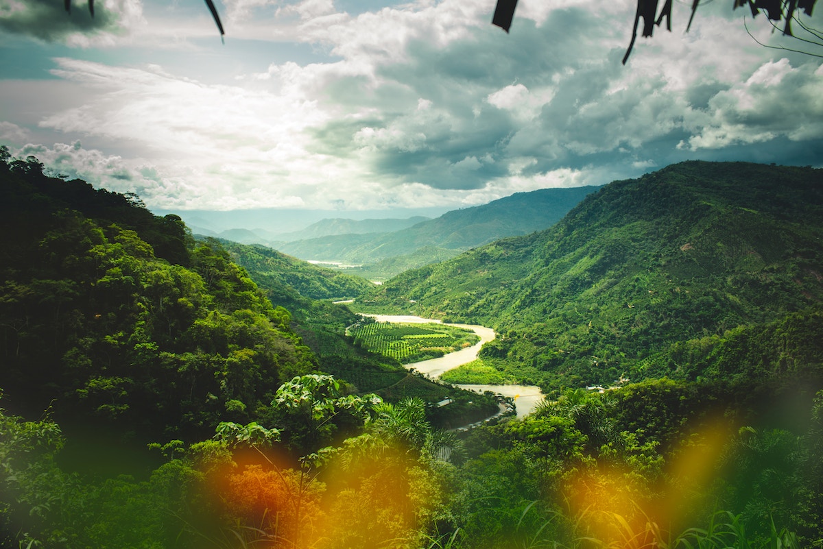 the-carbon-offset-market’s-broken-promises