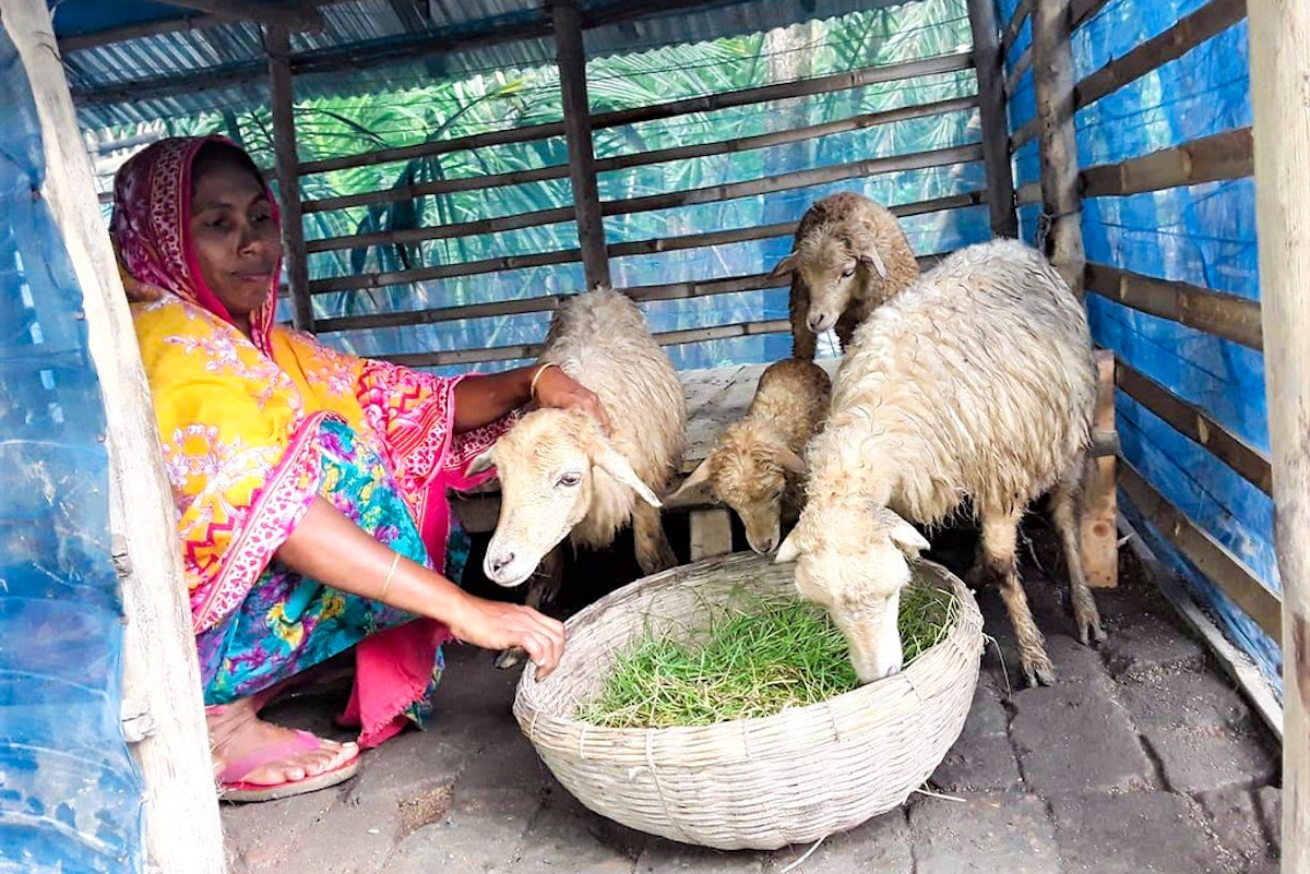 how-can-sustainable-agriculture-make-the-fashion-industry-greener?