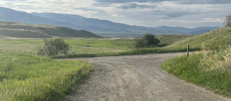 here’s-how-pepsico-and-walmart-are-investing-in-regenerative-agriculture.-plus-more-q3-updates