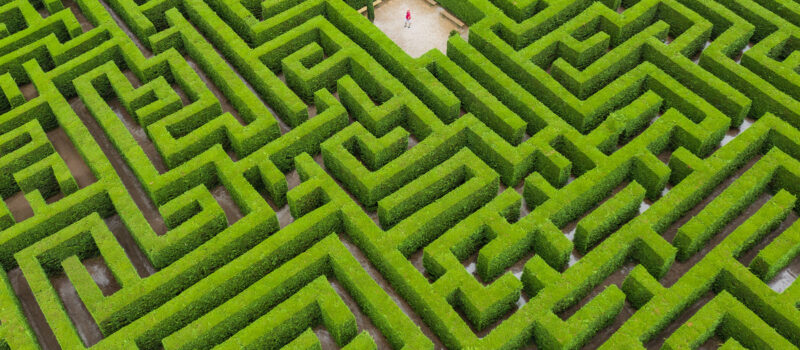 how-should-a-sustainability-elder-show-up?-the-community-weighs-in