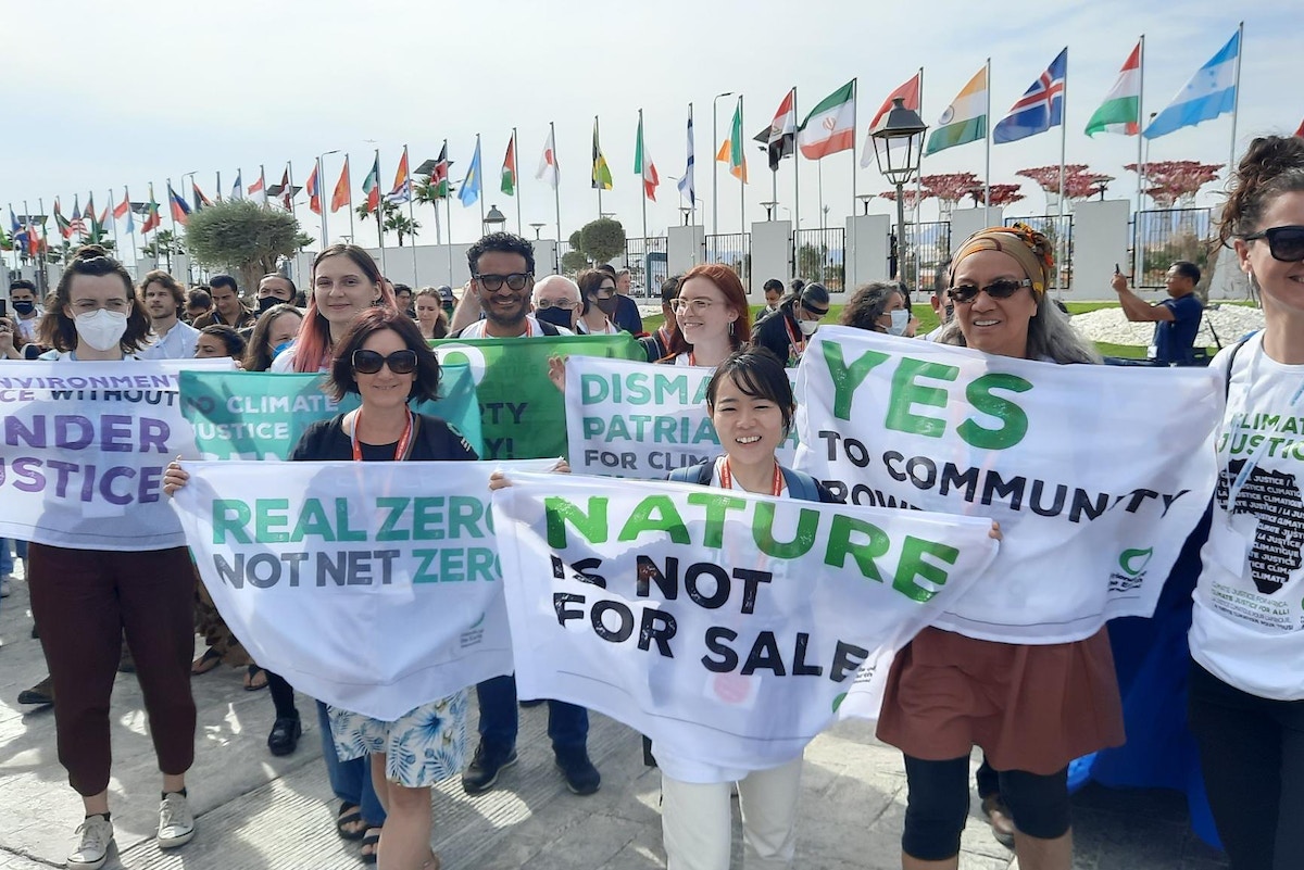 why-money-matters-when-taking-climate-change-to-court