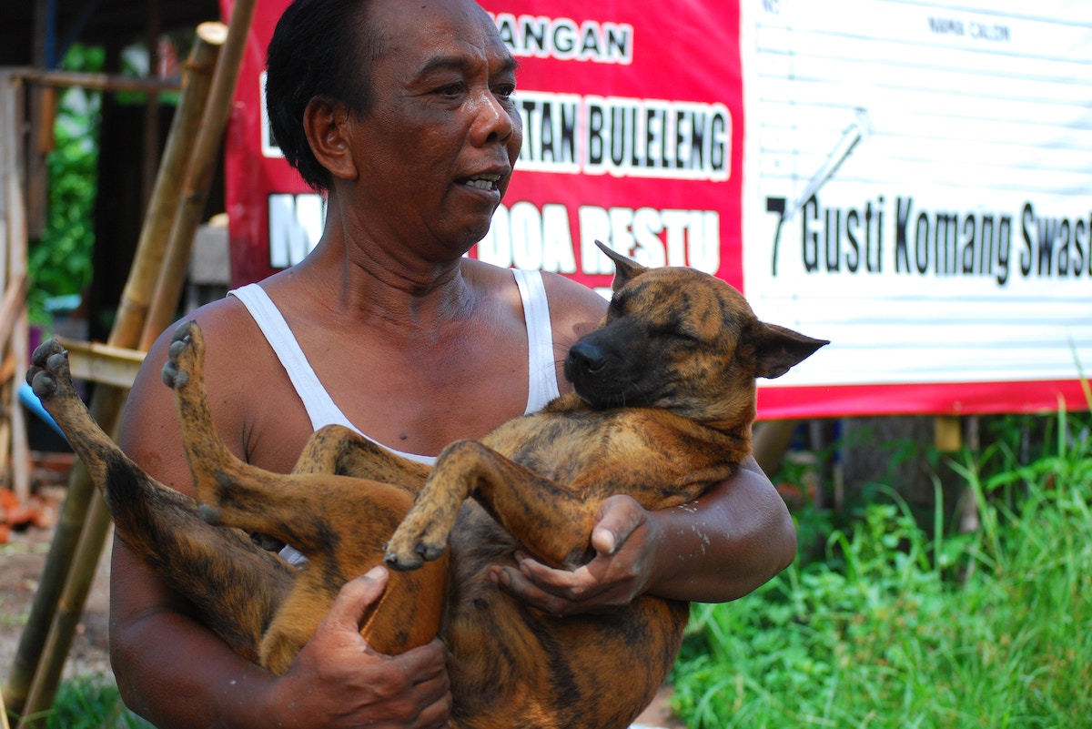 rabies-is-spreading-in-southeast-asia,-fuelled-by-inequality-and-neglect