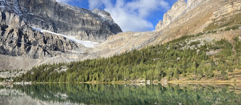 understanding-the-new-nature-and-biodiversity-frameworks-for-companies