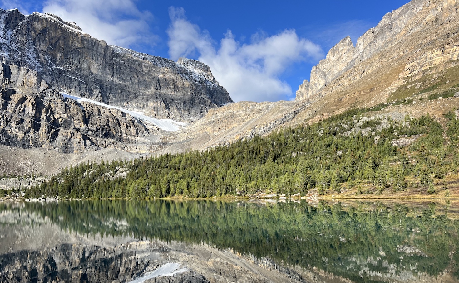 understanding-the-new-nature-and-biodiversity-frameworks-for-companies
