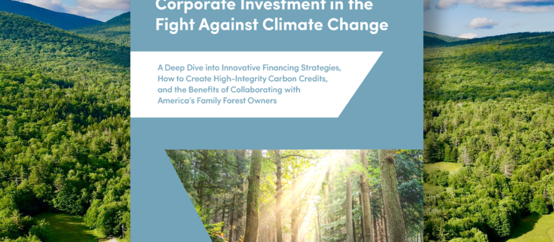 boosting-the-power-of-corporate-investment-in-the-fight-against-climate-change