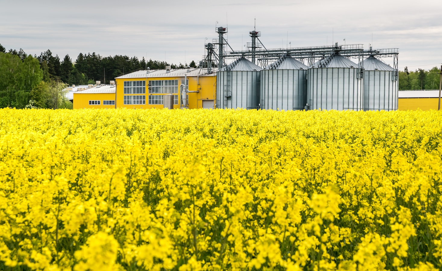 why-leading-vcs-are-rethinking-their-food-investments