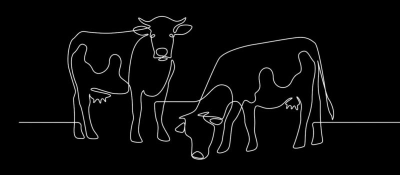 emissions-keep-rising-among-world’s-biggest-meat-and-dairy-producers