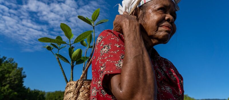 q&a:-the-fight-over-the-‘loss-and-damage-fund’-for-climate-change