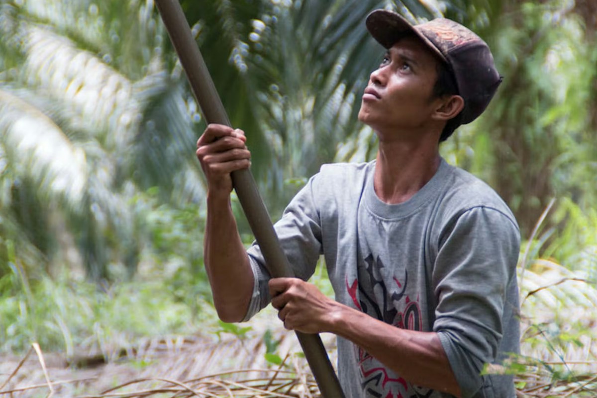 ‘smallholders-are-victims-of-the-haze,-not-the-cause’:-indonesian-oil-palm-farmers-union-advisor-aida-greenbury