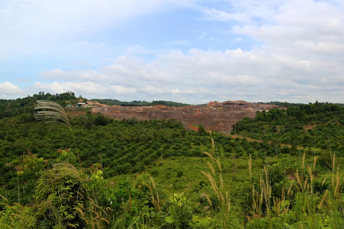 deforestation-risk-think-tank-chain-reaction-research-winds-down