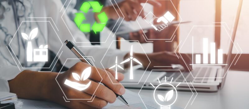 the-case-for-adopting-established-esg-standards-over-creating-your-own-framework