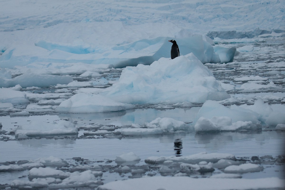 q&a:-warming-of-2°c-would-trigger-‘catastrophic’-loss-of-world’s-ice,-new-report-says
