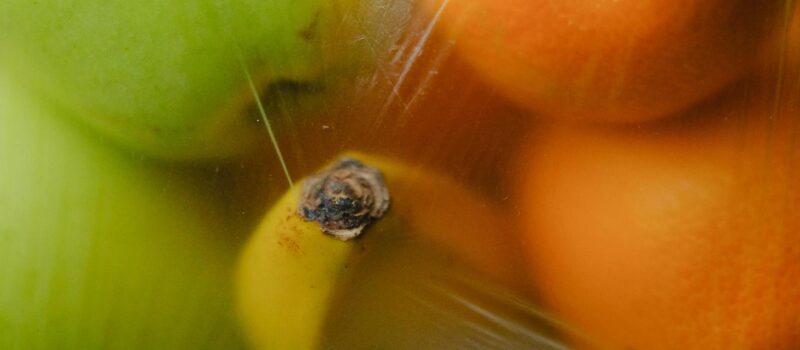 here’s-a-‘significant-step’-to-halve-food-waste-by-2030