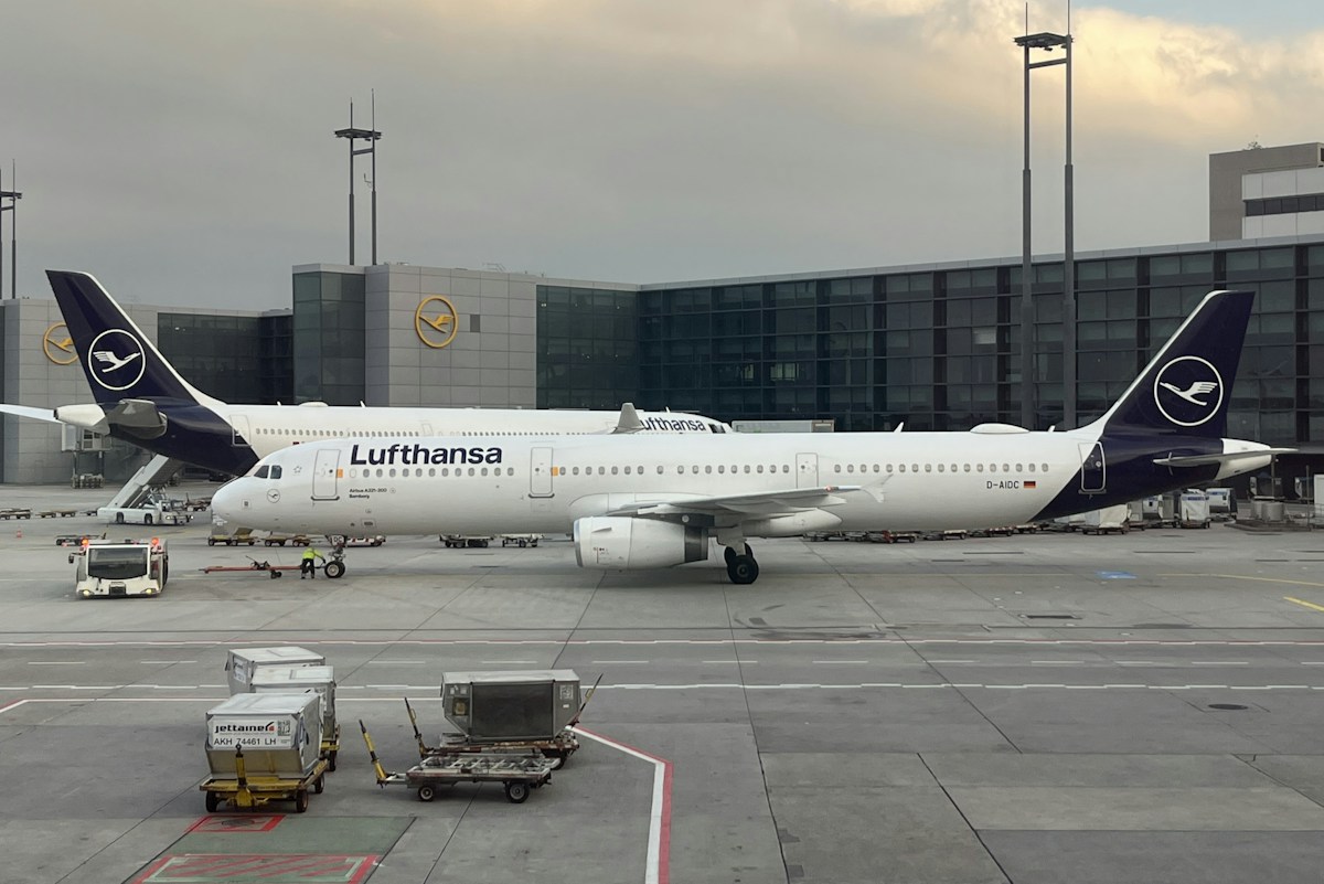 lufthansa-executive-advocates-limited-biofuel-use,-citing-food-waste,-nature-risks