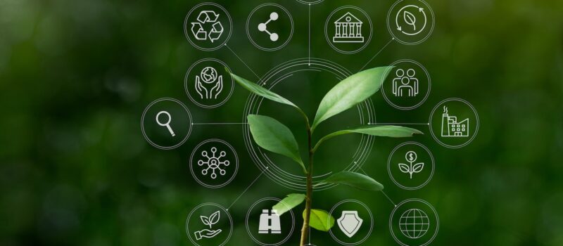 the-first-step-toward-an-embedded-sustainability-strategy:-pinpoint-key-esg-issues