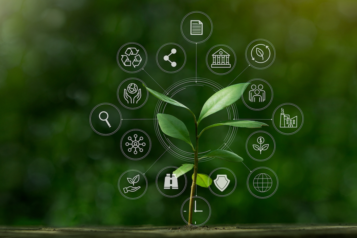 the-first-step-toward-an-embedded-sustainability-strategy:-pinpoint-key-esg-issues