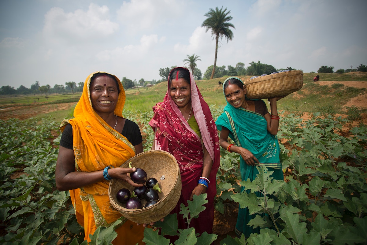 women-farmers-shine-as-‘super-heroes’-in-india’s-climate-fight