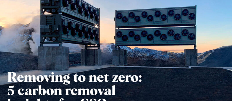 removing-to-net-zero:-5-carbon-removal-insights-for-csos
