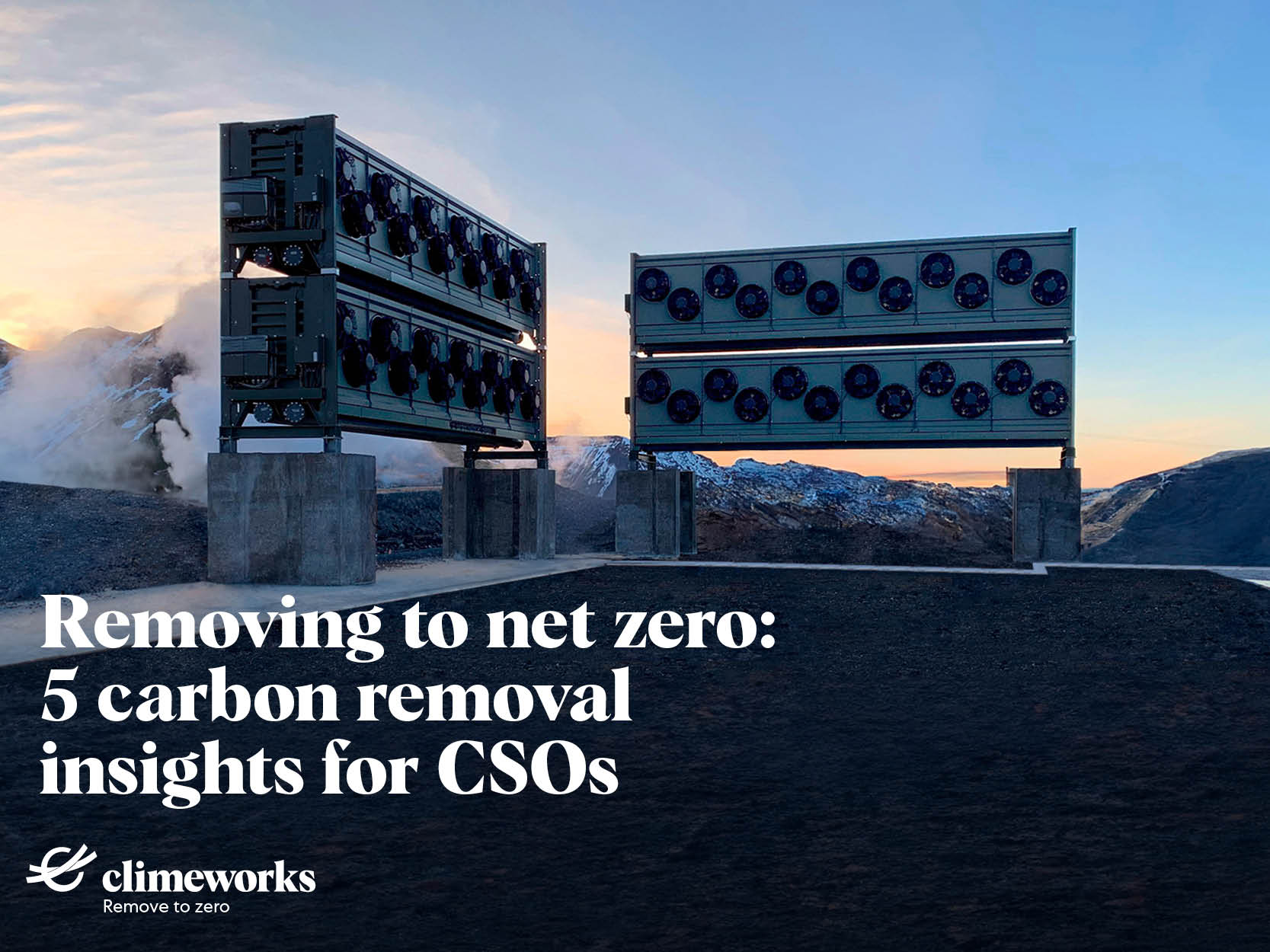 removing-to-net-zero:-5-carbon-removal-insights-for-csos