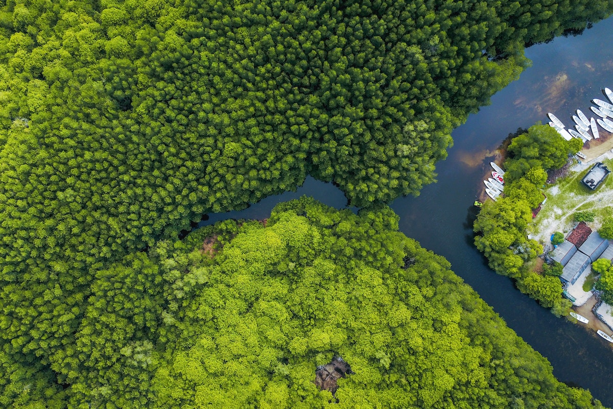 nature-as-infrastructure