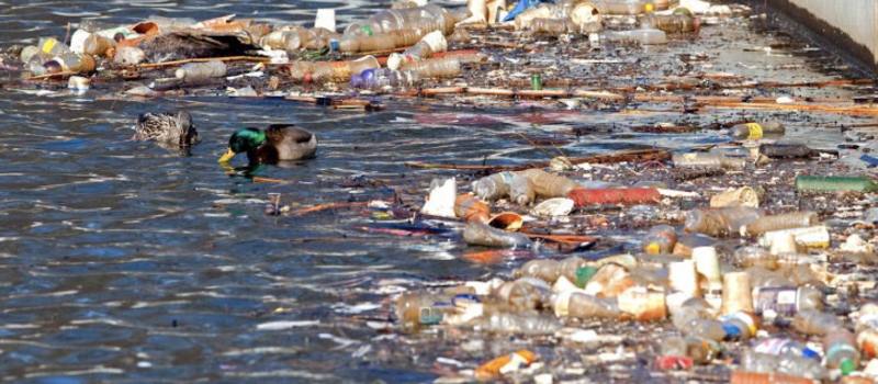 why-it-matters-that-new-york-state-is-suing-pepsico-over-single-use-plastic