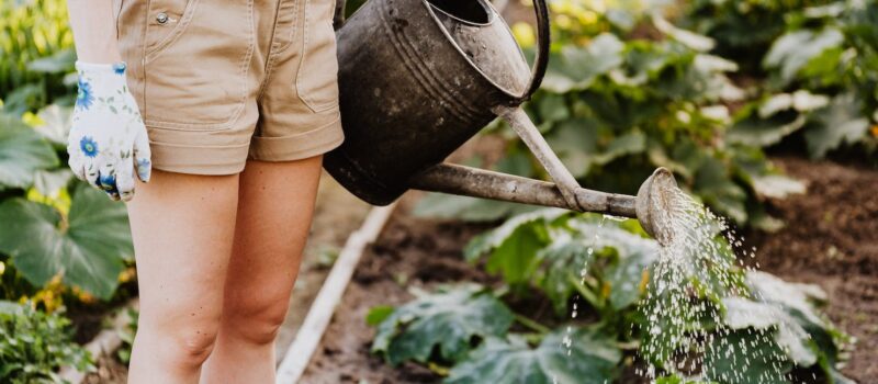 the-year-in-food:-these-trends-will-help-define-2024