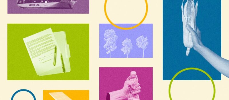 timeline-2024:-28-sustainability-policies,-guidelines-and-targets-to-track