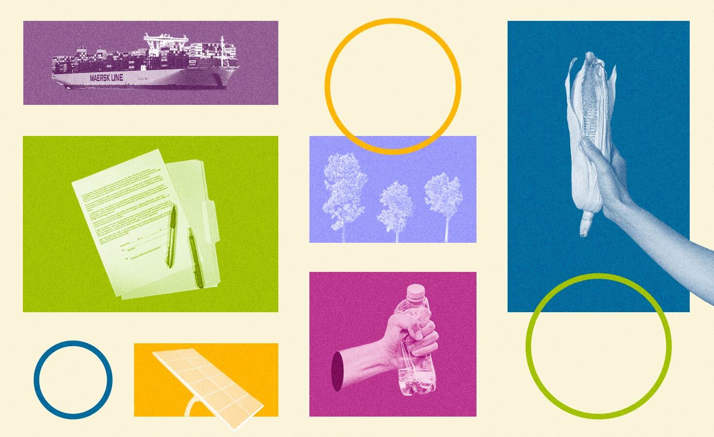 timeline-2024:-28-sustainability-policies,-guidelines-and-targets-to-track