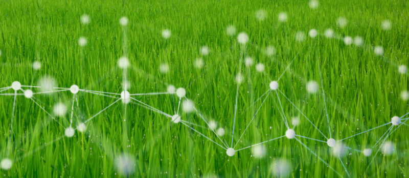 nature-tech-got-$16-billion-in-vc-funding-last-year.-it’s-poised-to-take-off-in-2024