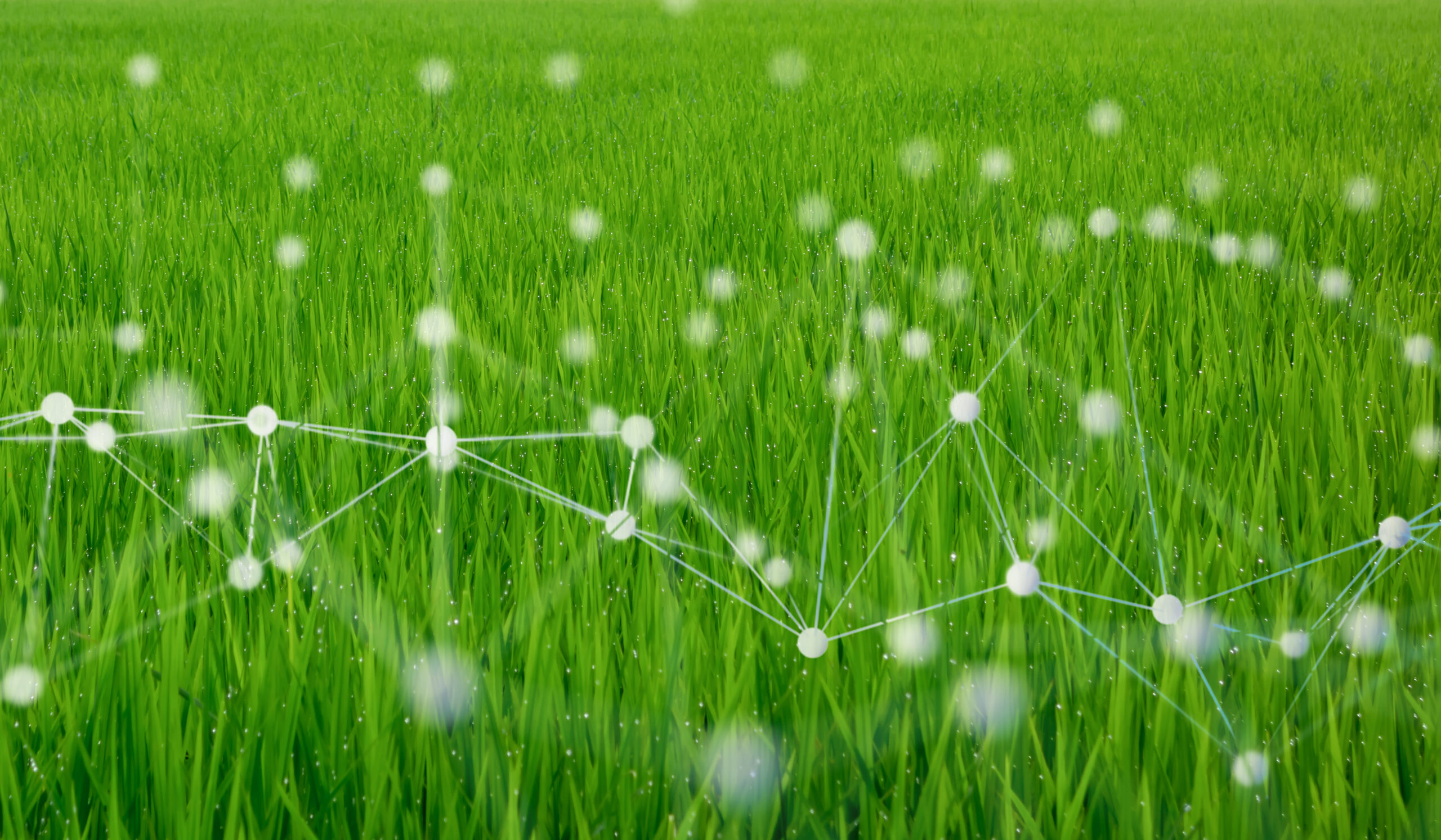 nature-tech-got-$16-billion-in-vc-funding-last-year.-it’s-poised-to-take-off-in-2024