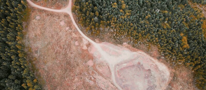 central-banks,-financial-supervisors-are-failing-to-integrate-environmental-risk,-wwf-warns