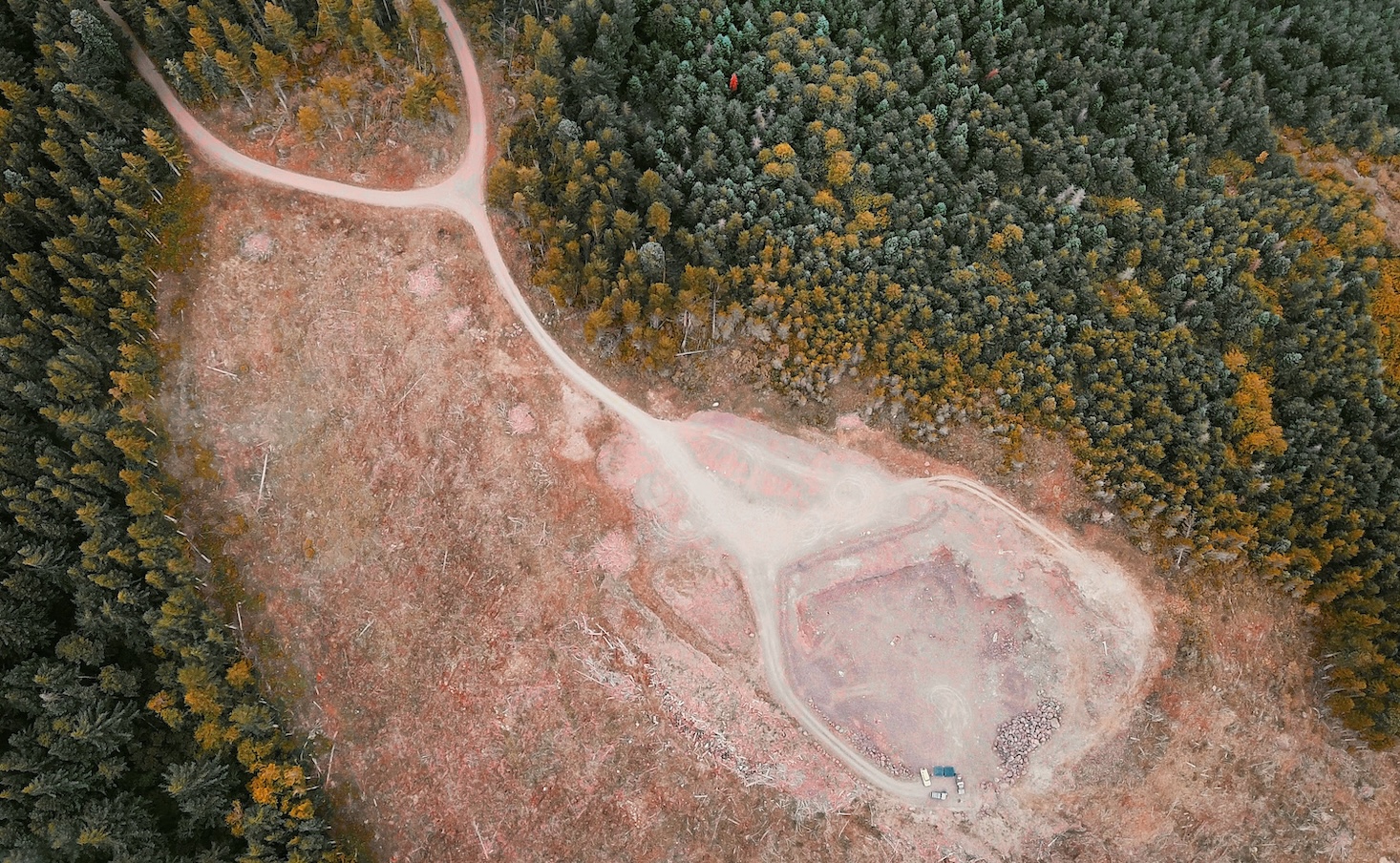 central-banks,-financial-supervisors-are-failing-to-integrate-environmental-risk,-wwf-warns