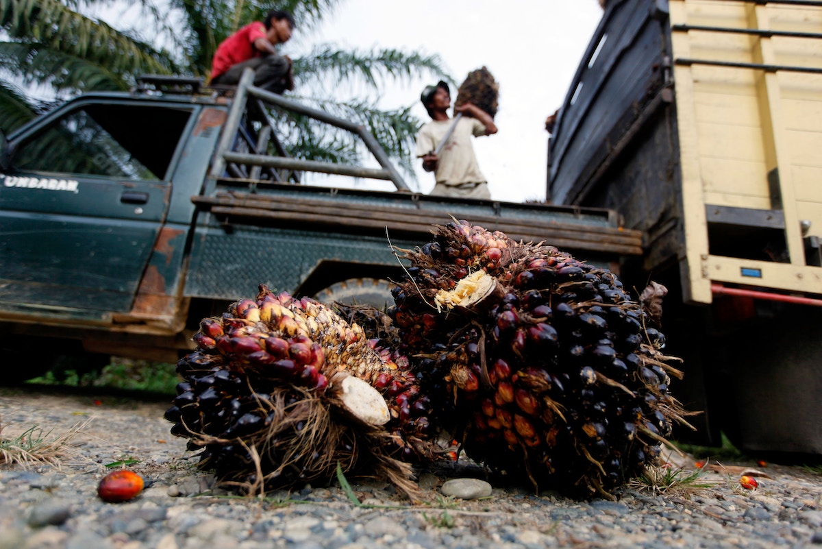 palm-oil-watchdog-adds-new-targets:-climate-emissions,-small-farms
