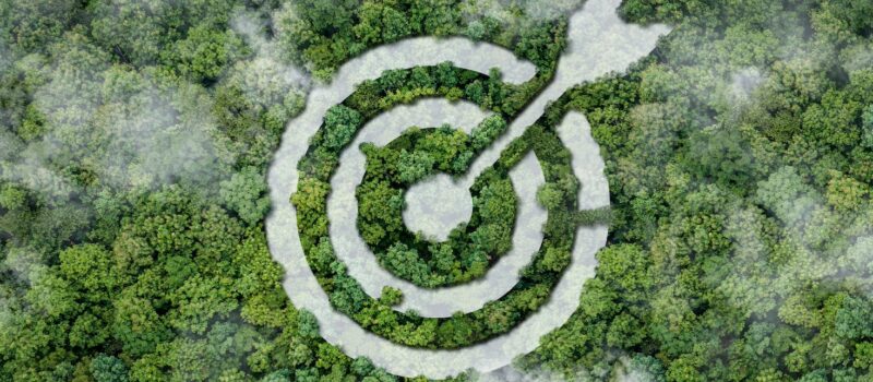 the-year-ahead-in-esg:-assurance,-transition-finance-and-natural-capital