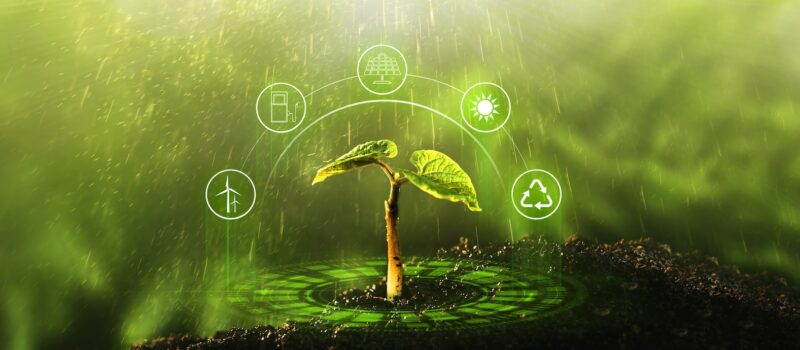 3-lessons-from-sustainability-leaders-on-accelerating-impacts-on-food-systems