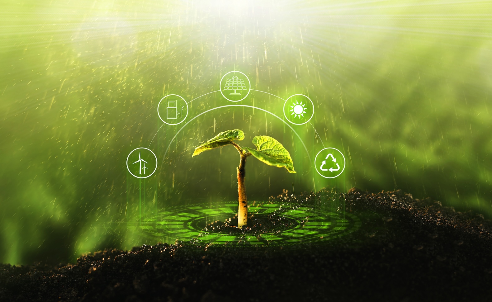 3-lessons-from-sustainability-leaders-on-accelerating-impacts-on-food-systems