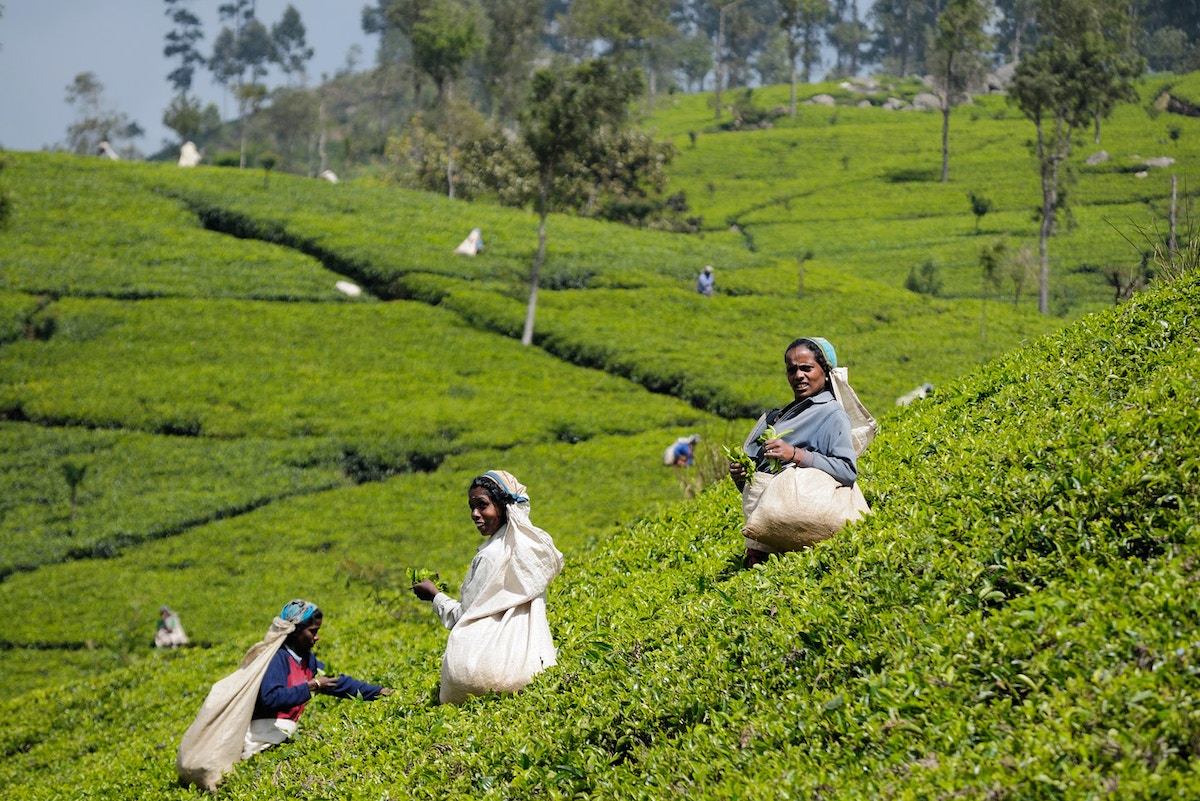 sri-lanka’s-debt-restructuring-is-hurting-older-women
