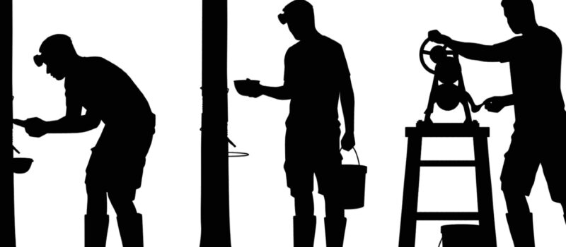 how-mounting-demand-for-rubber-is-driving-tropical-forest-loss